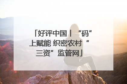 好评中国丨“码”上赋能 织密农村“三资”监管网