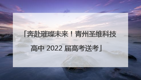奔赴璀璨未来！青州圣维科技高中 2022 届高考送考