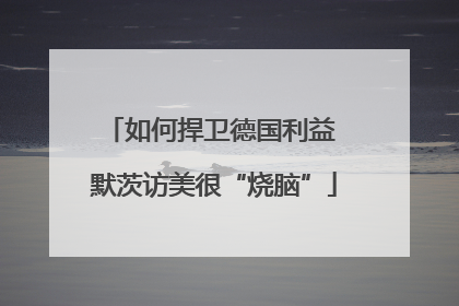 如何捍卫德国利益 默茨访美很“烧脑”