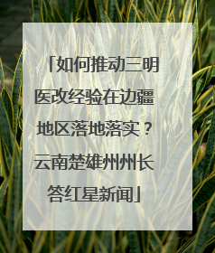 如何推动三明医改经验在边疆地区落地落实？云南楚雄州州长答红星新闻