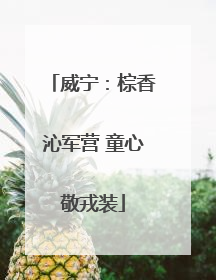 威宁：棕香沁军营 童心敬戎装