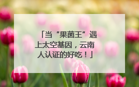 当“果菌王”遇上太空基因，云南人认证的好吃！