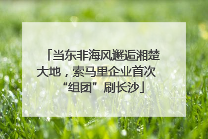 当东非海风邂逅湘楚大地，索马里企业首次“组团”刷长沙