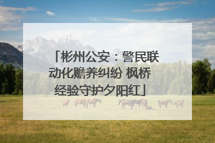 彬州公安：警民联动化赡养纠纷 枫桥经验守护夕阳红