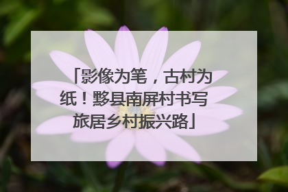 影像为笔，古村为纸！黟县南屏村书写旅居乡村振兴路