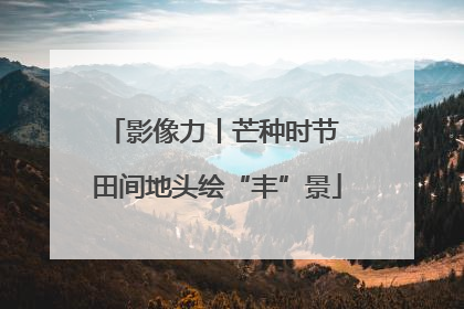 影像力丨芒种时节 田间地头绘“丰”景