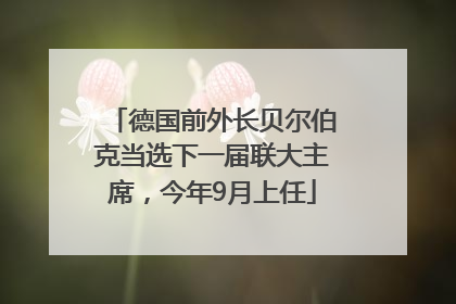 德国前外长贝尔伯克当选下一届联大主席，今年9月上任
