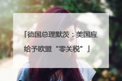 德国总理默茨：美国应给予欧盟“零关税”