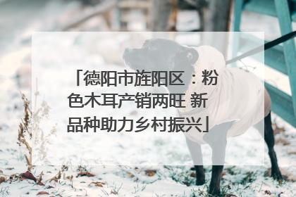 德阳市旌阳区：粉色木耳产销两旺 新品种助力乡村振兴