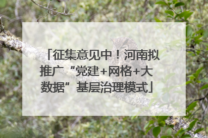 征集意见中！河南拟推广“党建+网格+大数据”基层治理模式
