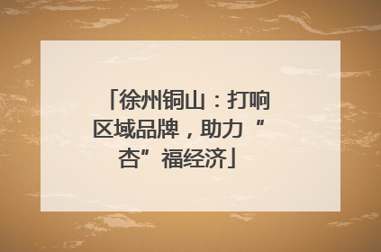徐州铜山：打响区域品牌，助力“杏”福经济