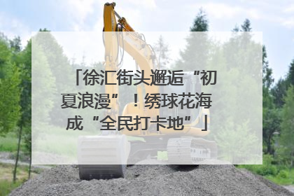 徐汇街头邂逅“初夏浪漫”！绣球花海成“全民打卡地”