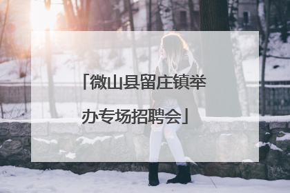 微山县留庄镇举办专场招聘会