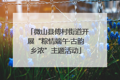微山县傅村街道开展“粽情端午·古韵乡浓”主题活动