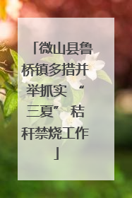 微山县鲁桥镇多措并举抓实 “三夏” 秸秆禁烧工作