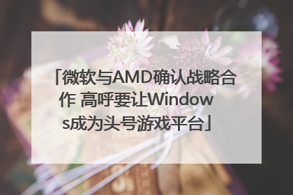 微软与AMD确认战略合作 高呼要让Windows成为头号游戏平台