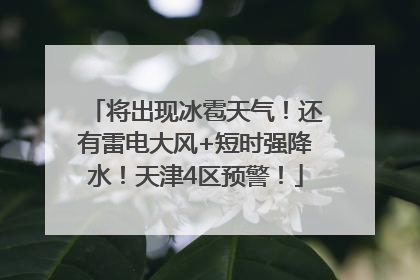 将出现冰雹天气！还有雷电大风+短时强降水！天津4区预警！