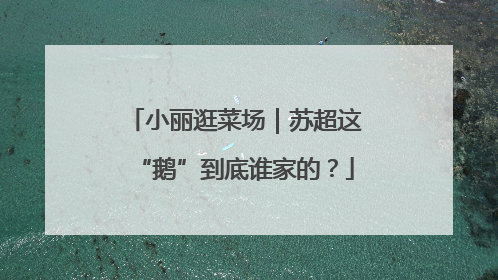 小丽逛菜场｜苏超这“鹅”到底谁家的？