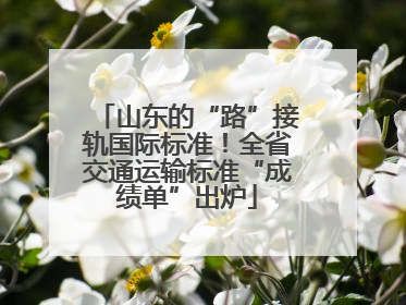 山东的“路”接轨国际标准！全省交通运输标准“成绩单”出炉