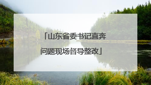山东省委书记直奔问题现场督导整改