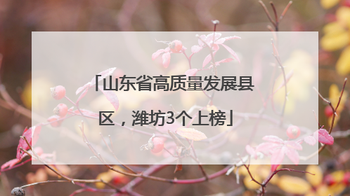 山东省高质量发展县区，潍坊3个上榜