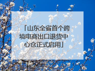 山东全省首个跨境电商出口退货中心仓正式启用