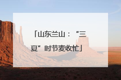 山东兰山：“三夏”时节麦收忙