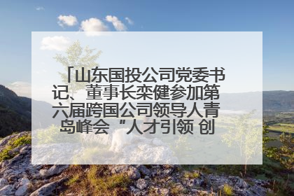 山东国投公司党委书记、董事长栾健参加第六届跨国公司领导人青岛峰会“人才引领 创新驱动”人力资源高质量发展对话会