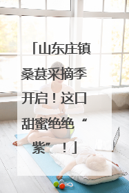 山东庄镇桑葚采摘季开启！这口甜蜜绝绝“紫”！