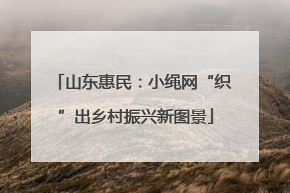 山东惠民：小绳网“织”出乡村振兴新图景