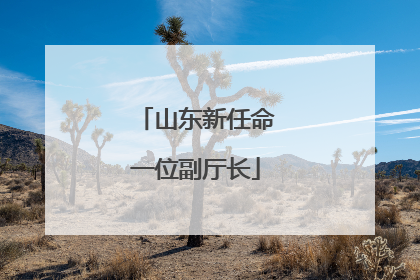 山东新任命一位副厅长