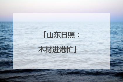 山东日照：木材进港忙