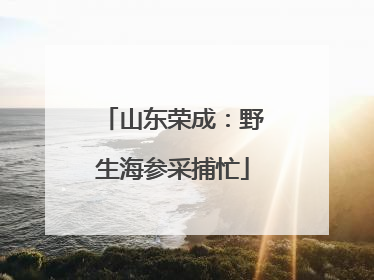 山东荣成：野生海参采捕忙
