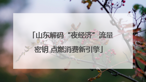 山东解码“夜经济”流量密钥 点燃消费新引擎