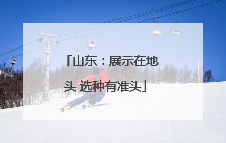 山东：展示在地头 选种有准头