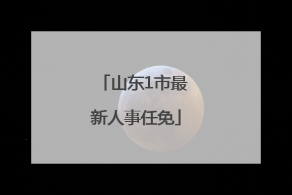 山东1市最新人事任免
