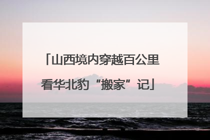 山西境内穿越百公里 看华北豹“搬家”记