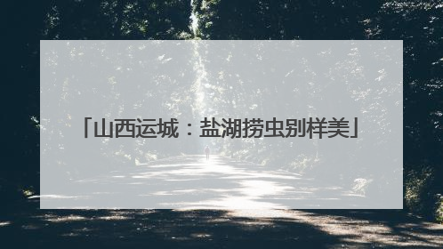 山西运城：盐湖捞虫别样美