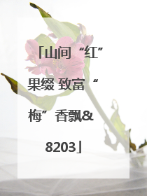 山间“红”果缀 致富“梅”香飘& 8203