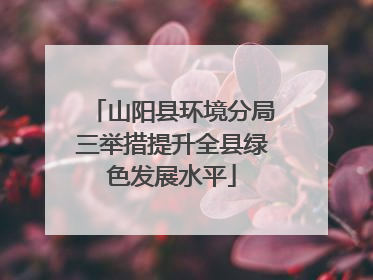 山阳县环境分局三举措提升全县绿色发展水平