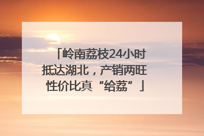 岭南荔枝24小时抵达湖北，产销两旺性价比真“给荔”