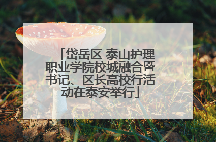 岱岳区 泰山护理职业学院校城融合暨书记、区长高校行活动在泰安举行