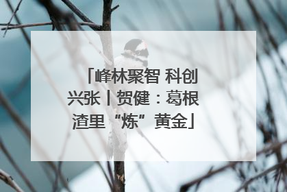峰林聚智 科创兴张丨贺健：葛根渣里“炼”黄金