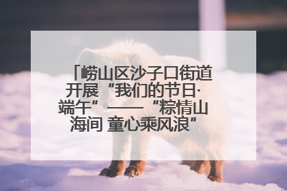 崂山区沙子口街道开展“我们的节日·端午”——“粽情山海间 童心乘风浪”文明实践活动