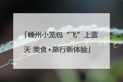 嵊州小笼包“飞”上蓝天 美食+旅行新体验