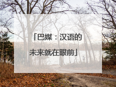 巴媒：汉语的未来就在眼前