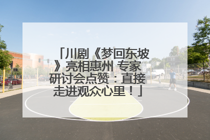 川剧《梦回东坡》亮相惠州 专家研讨会点赞：直接走进观众心里！