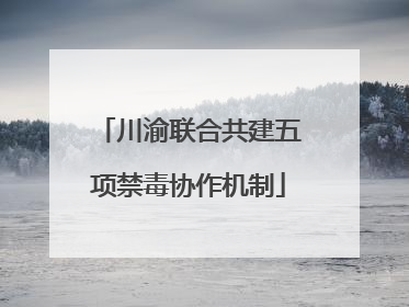 川渝联合共建五项禁毒协作机制