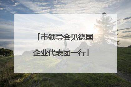市领导会见德国企业代表团一行
