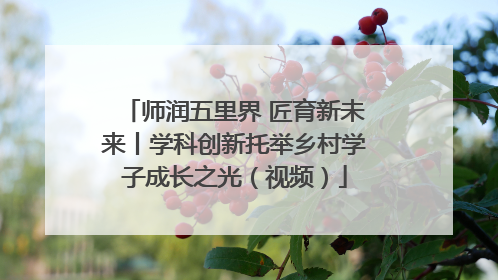 师润五里界 匠育新未来丨学科创新托举乡村学子成长之光（视频）